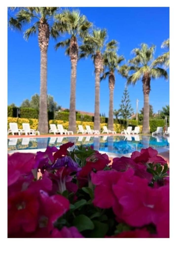 Residence Hotel Villa Laura Ascea Exterior foto
